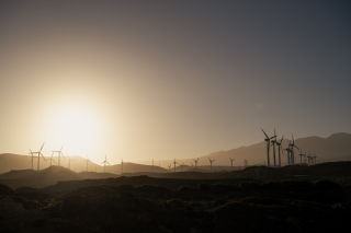 photography/art direction: Julian Spangenberg | client: Wormland | model: Yulef Bopp