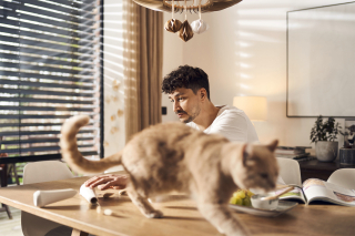 photography: Nick Wolff | production: OFFWEGO Studio | postproduction: Tim Wachnowski | models: Tony Babczyk & Pauline Fernandez | client: Mera Tiernahrung