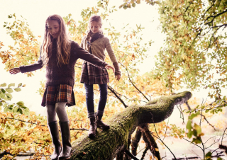 photography: Daniel Ziegert | usage: (R)Auszeit im Wald
