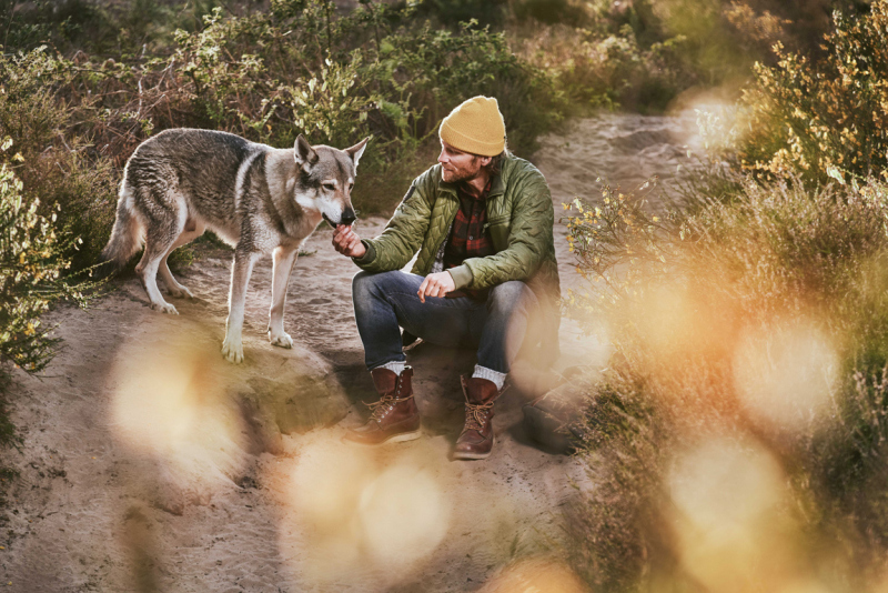 photography: Sebastian Knoth | client: Zoo Royal Petcare GmbH / Rewe Group | agency/videography: Die Faktur |