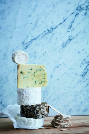 photography: Bine Bellmann | usage: Cheese