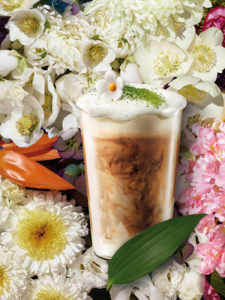 photography: Sabine Scheer | client: Starbucks China