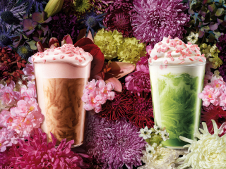 photography: Sabine Scheer | client: Starbucks China
