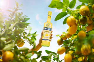 photography: Studio Aylin Jajeh | client: Group Pernod Ricard | usage: Ramazotti Limoncello
