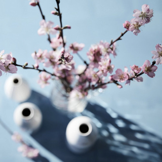 photography: Marius Prions