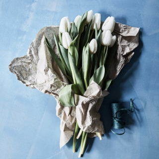photography: Marius Prions