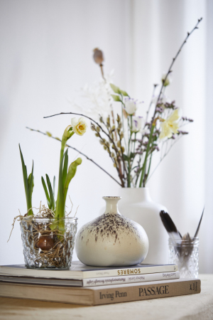 photography: Alexandra Höner