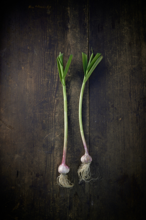 photography: Marius Prions