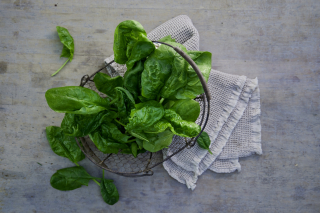 photography: Marius Prions