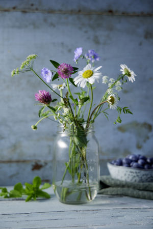 photography: Marius Prions